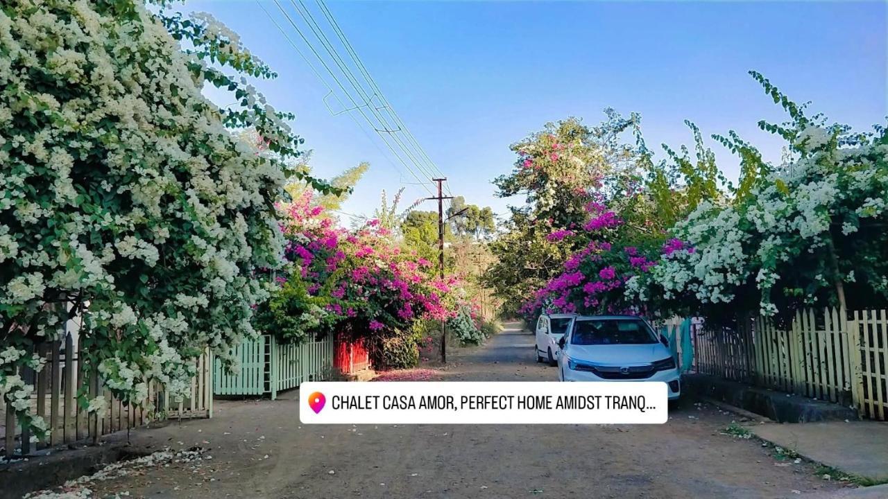 Chalet Casa Amor, Perfect Home Amidst Tranquility Карджат Екстериор снимка